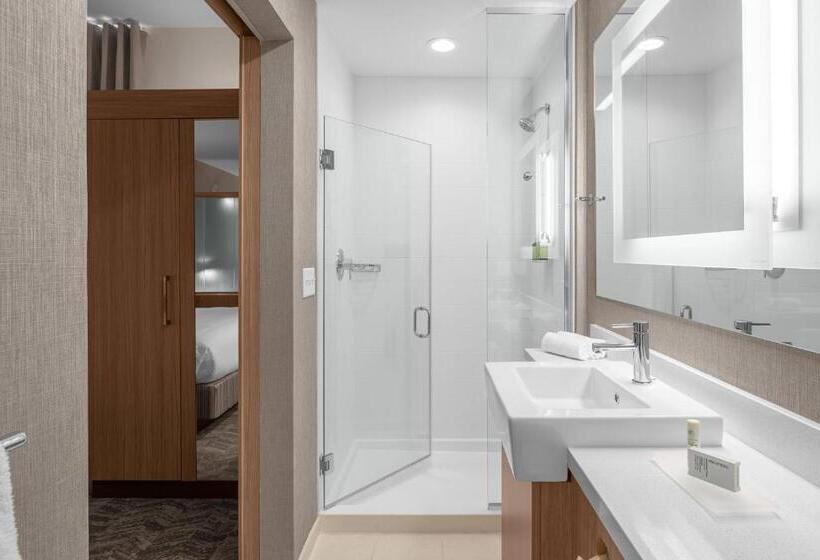 クイーンベッドのスタンダードスタジオ, Springhill Suites By Marriott Jackson