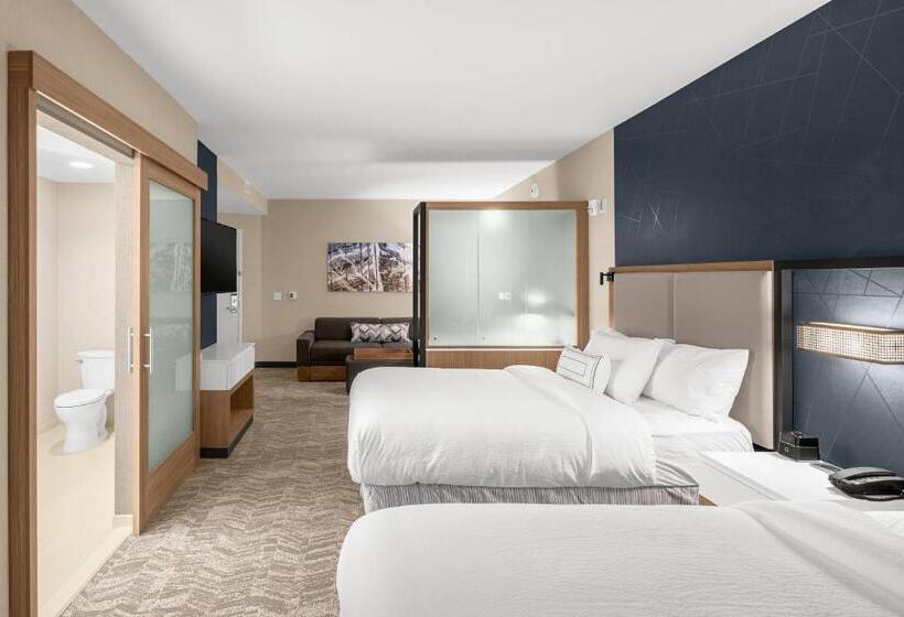 クイーンベッドのスタンダードスタジオ, Springhill Suites By Marriott Jackson