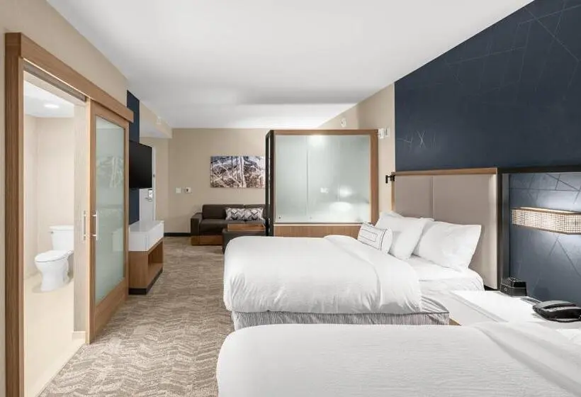 Standard-studio Queen-vuode, Springhill Suites By Marriott Jackson