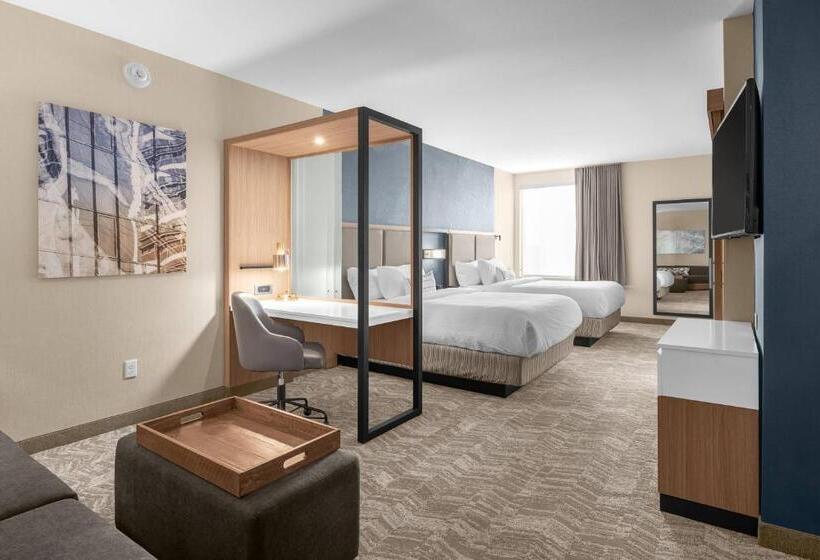 クイーンベッドのスタンダードスタジオ, Springhill Suites By Marriott Jackson