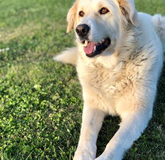 آپارتمان 1 خوابه, Casa Vacanze Arcobaleno