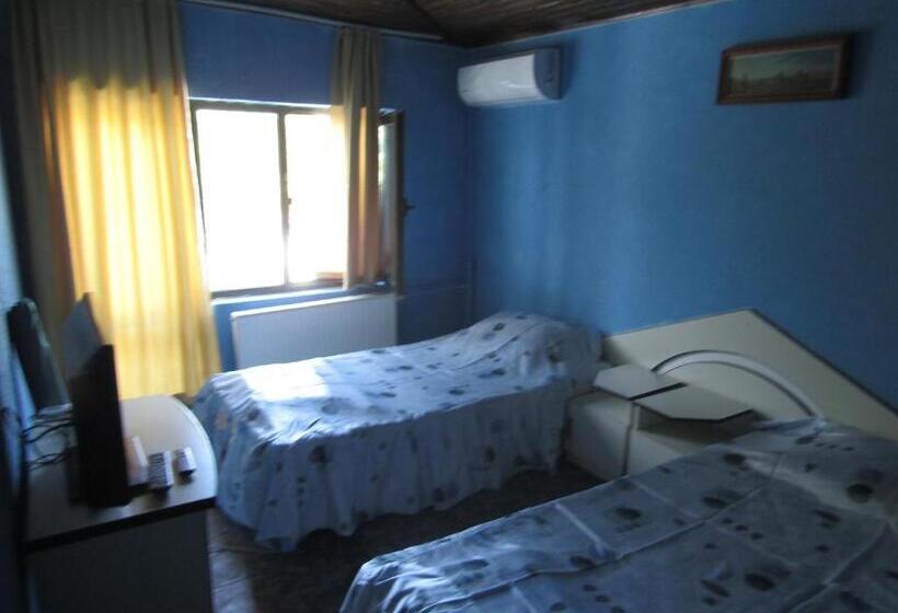 スーペリアースイート, Hostel Papagal