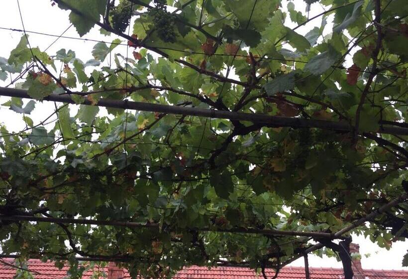 آپارتمان 1 خوابه, Balkan House