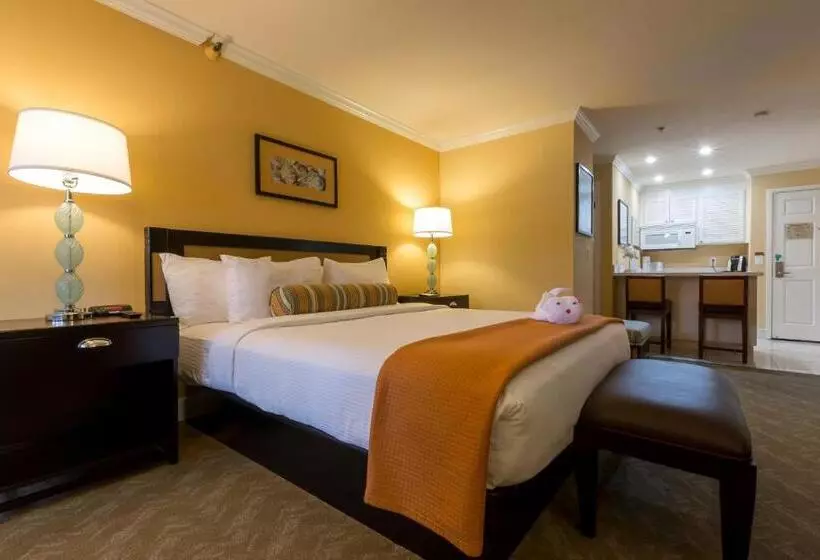 اتاق استاندارد با تخت بزرگ, Carlsbad Inn Beach Resort