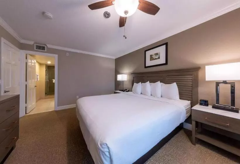 سوئیت 2 خوابه, Carlsbad Inn Beach Resort