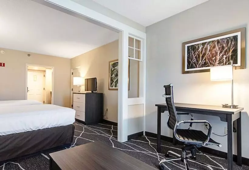 اتاق استاندارد, Clarion Inn Willow River