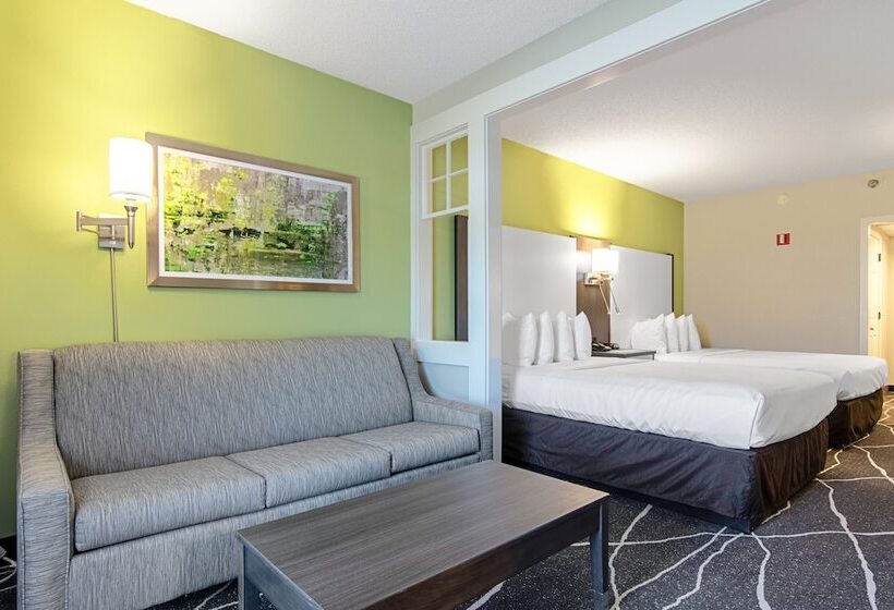 اتاق استاندارد, Clarion Inn Willow River