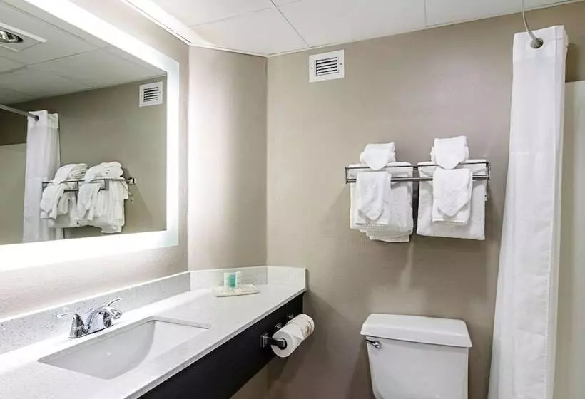 اتاق استاندارد, Clarion Inn Willow River