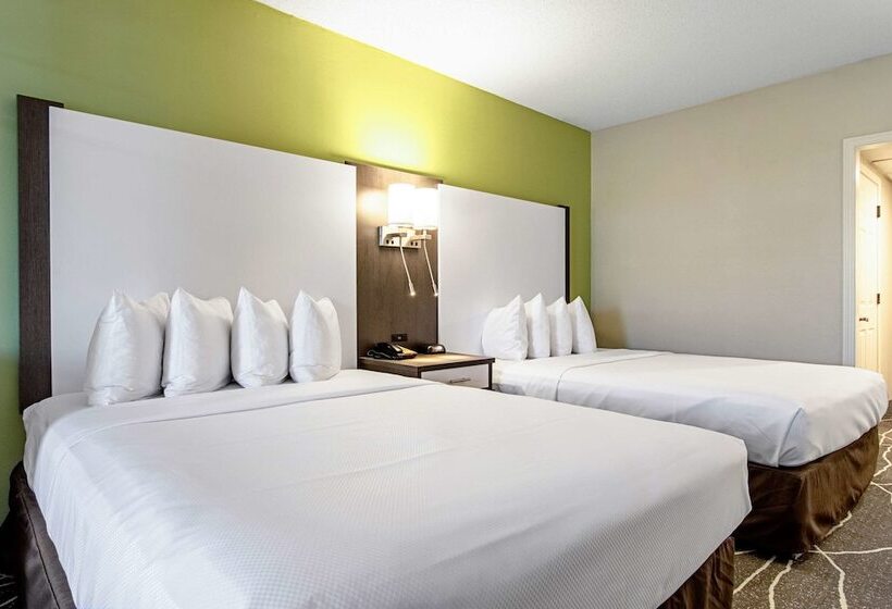 اتاق استاندارد, Clarion Inn Willow River