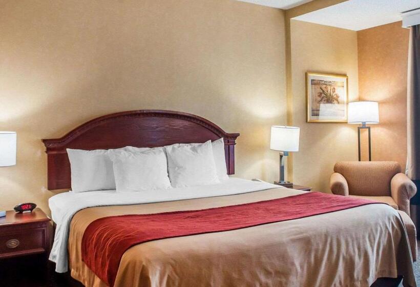 غرفة قياسية سرير كينج, Quality Inn Near Walden Galleria Mall