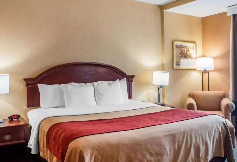 اتاق استاندارد با تخت بزرگ, Quality Inn Near Walden Galleria Mall