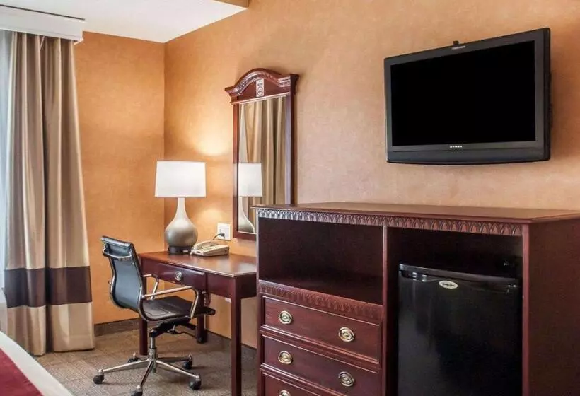 اتاق استاندارد با تخت بزرگ, Quality Inn Near Walden Galleria Mall