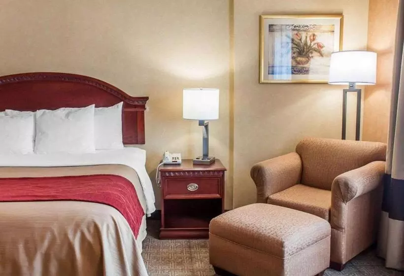 اتاق استاندارد با تخت بزرگ, Quality Inn Near Walden Galleria Mall