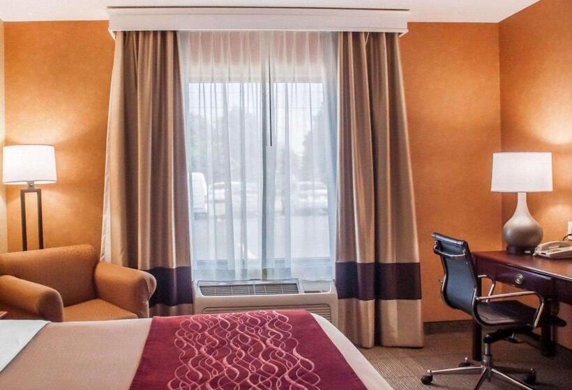 غرفة قياسية سرير كينج, Quality Inn Near Walden Galleria Mall