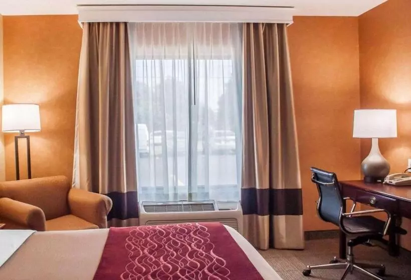 اتاق استاندارد با تخت بزرگ, Quality Inn Near Walden Galleria Mall