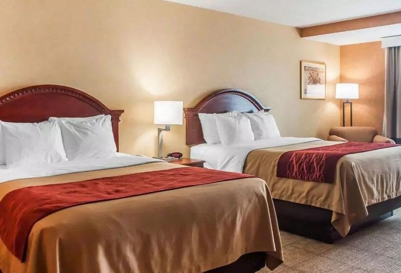 اتاق استاندارد, Quality Inn Near Walden Galleria Mall
