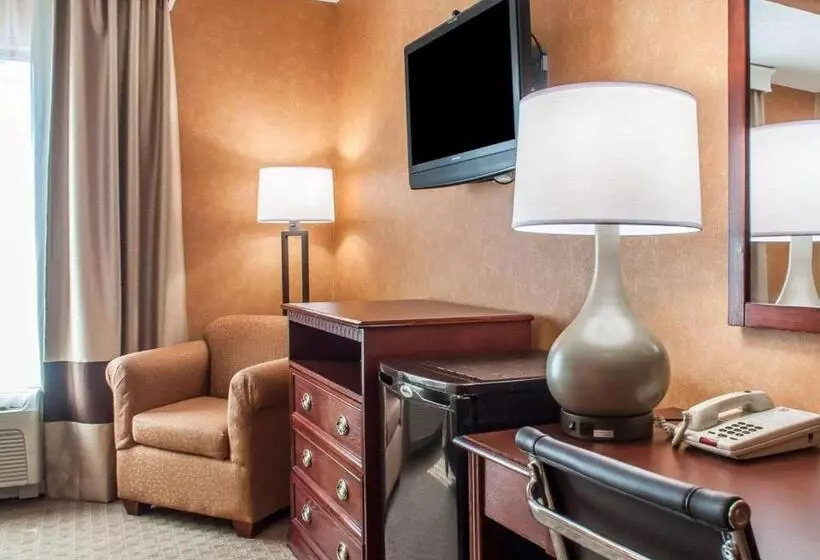 اتاق استاندارد با تخت بزرگ برای معلولان, Quality Inn Near Walden Galleria Mall