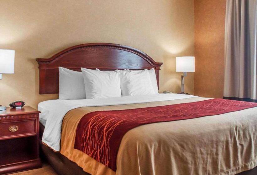 غرفة قياسية سرير كينج لذوى الإحتياجات الخاصة, Quality Inn Near Walden Galleria Mall