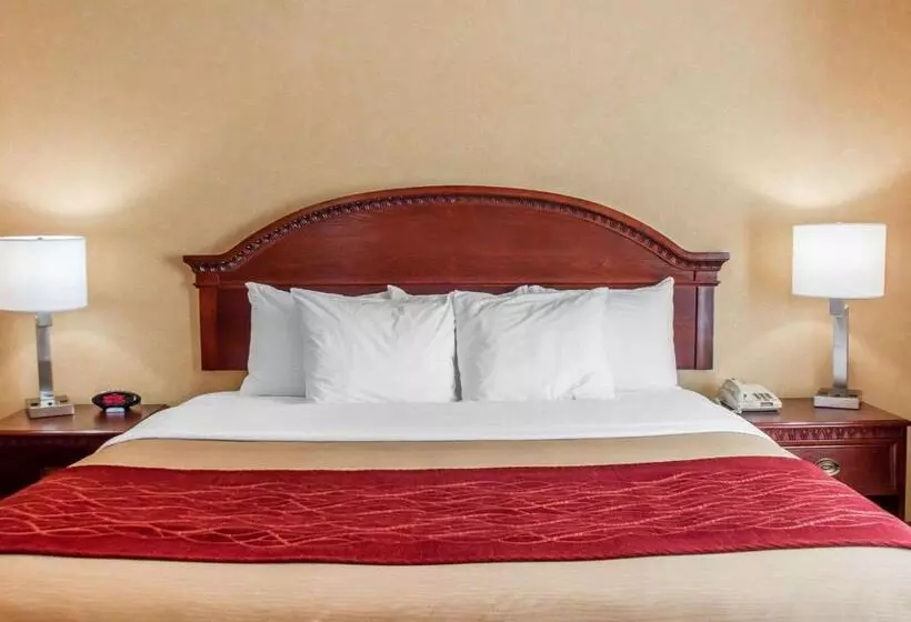 اتاق استاندارد با تخت بزرگ برای معلولان, Quality Inn Near Walden Galleria Mall