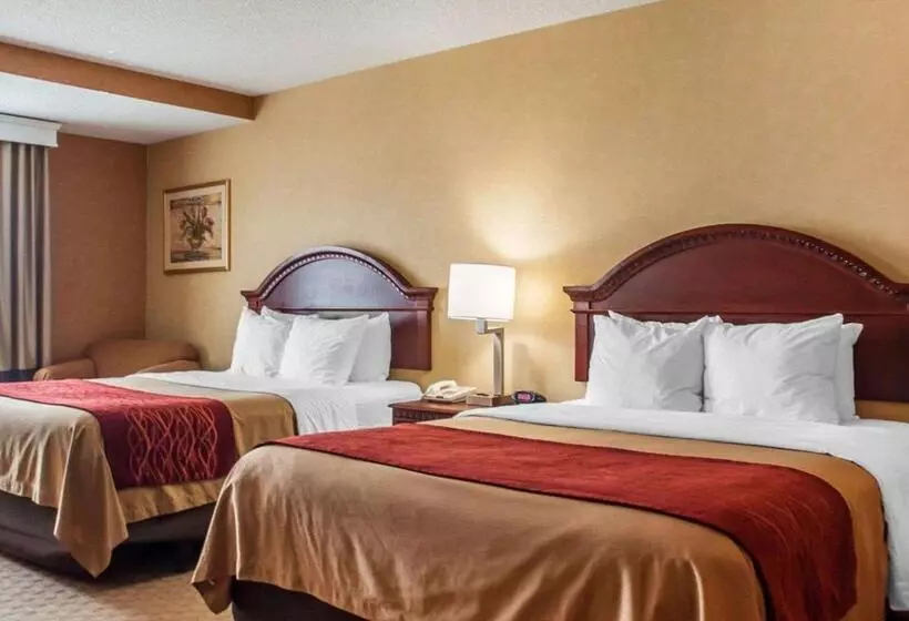 اتاق استاندارد برای معلولان, Quality Inn Near Walden Galleria Mall