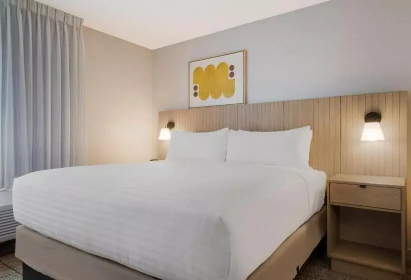 استودیو استاندارد با تخت کینگ, Sonesta Simply Suites Irvine East Foothill