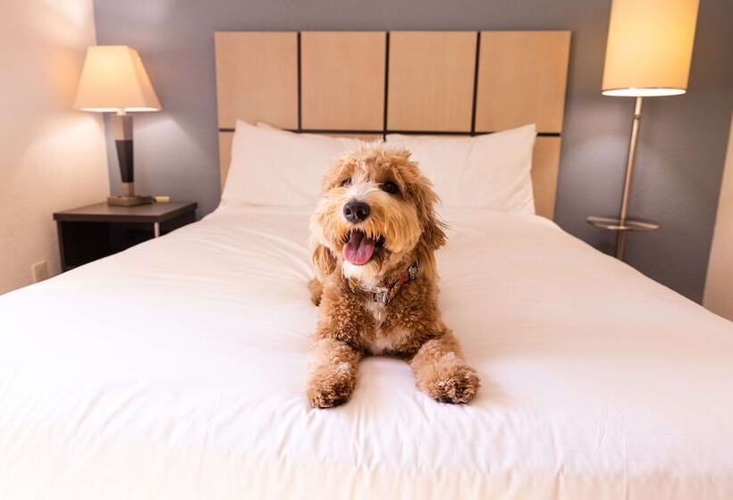 סוויטה מותאמת לאדם עם מוגבלויות, Sonesta Simply Suites Phoenix Glendale