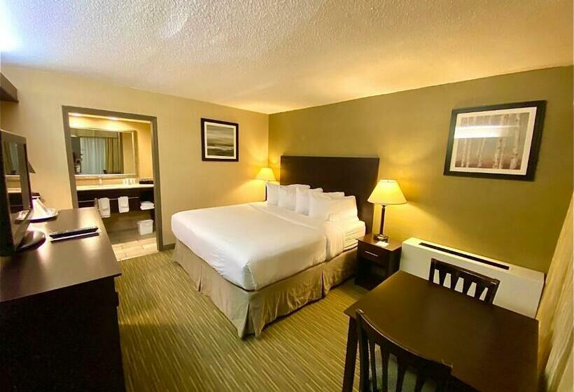 스탠다드 룸 킹사이즈 침대, Wyndham Garden Ann Arbor
