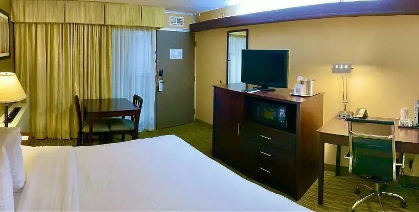 اتاق استاندارد با تخت بزرگ, Wyndham Garden Ann Arbor