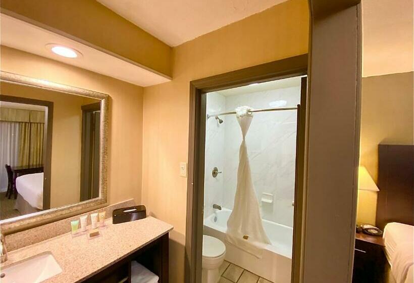 Стандартный Номер Кровать Кинг, Wyndham Garden Ann Arbor