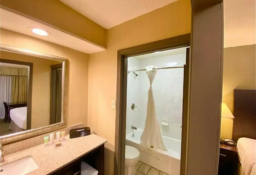 اتاق استاندارد با تخت بزرگ, Wyndham Garden Ann Arbor