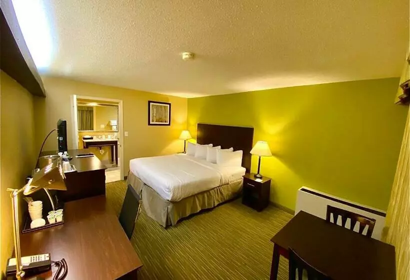 اتاق استاندارد با تخت بزرگ برای معلولان, Wyndham Garden Ann Arbor