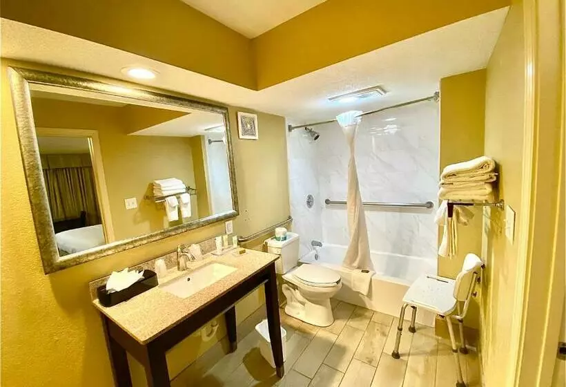 اتاق استاندارد با تخت بزرگ برای معلولان, Wyndham Garden Ann Arbor