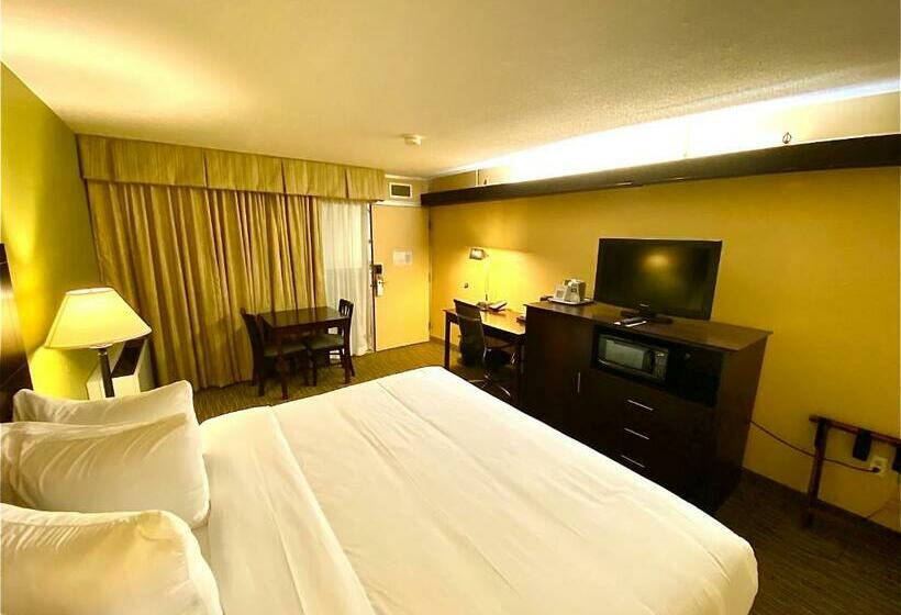 장애인을 위한 킹사이즈 침대 스탠다드 룸, Wyndham Garden Ann Arbor