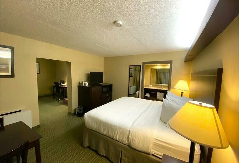 스위트 킹사이즈 침대, Wyndham Garden Ann Arbor