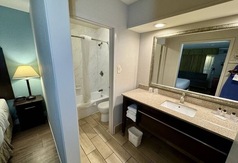 Люкс 2 Спальни, Wyndham Garden Ann Arbor