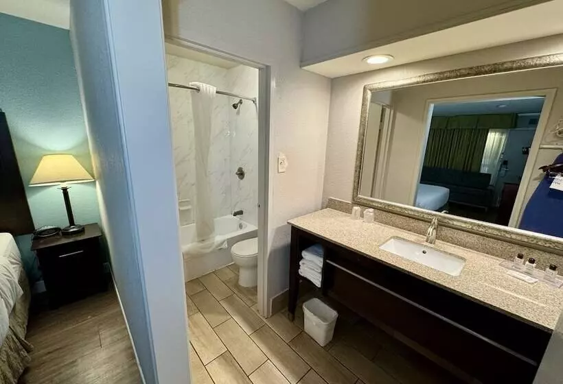 سوئیت 2 خوابه, Wyndham Garden Ann Arbor