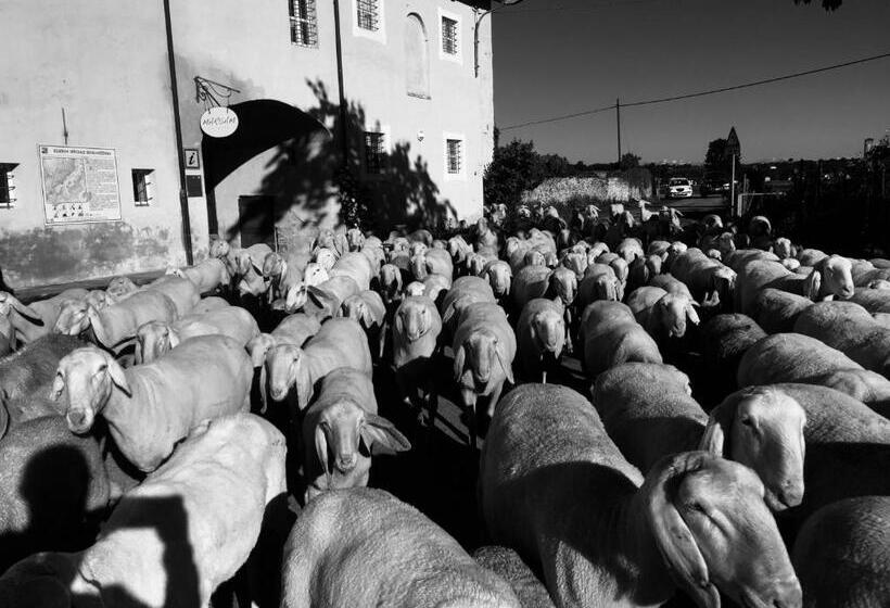 חדר סטודיו סטנדרד, Marsam Locanda