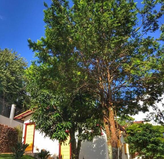 Номер Стандарт, Recanto Do Ouro