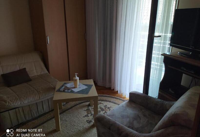 اتاق استاندارد سه تخته با سرویس بهداشتی مشترک, Prenoćište Aleksandar