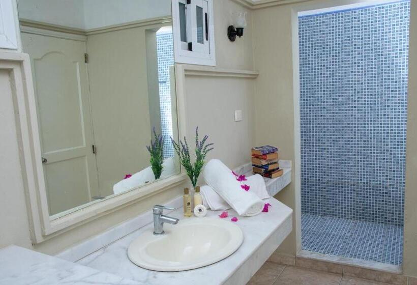 套房, Aparthotel Castillo Real