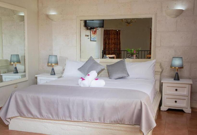 Люкс, Aparthotel Castillo Real