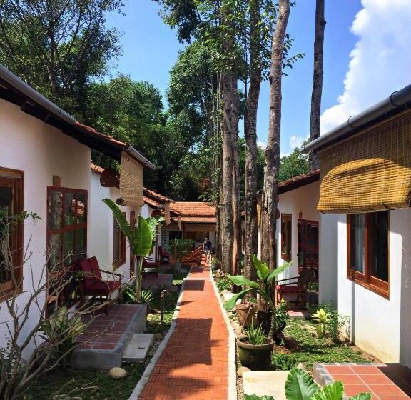 بنگله خانوادگی, Langchia Home