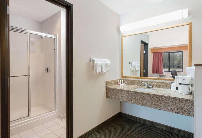 غرفة قياسية, Baymont By Wyndham Hot Springs