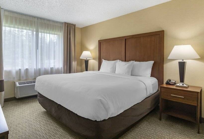 סוויטה, Comfort Inn & Suites Bothell   Seattle North