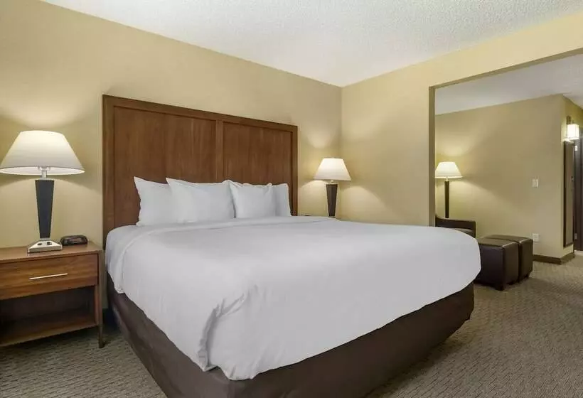 スイート, Comfort Inn & Suites Bothell Seattle North