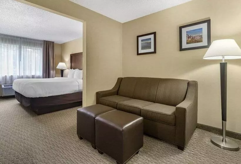 スイート, Comfort Inn & Suites Bothell Seattle North