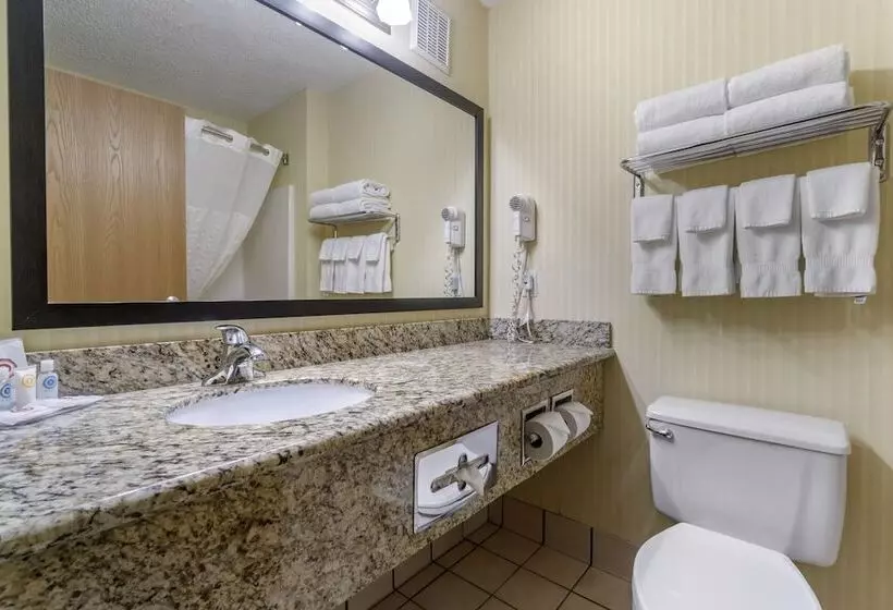 スタンダードルーム, Comfort Inn & Suites Bothell Seattle North