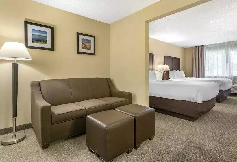 スタンダードルーム, Comfort Inn & Suites Bothell Seattle North