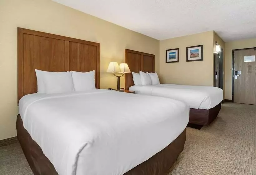 スタンダードルーム, Comfort Inn & Suites Bothell Seattle North