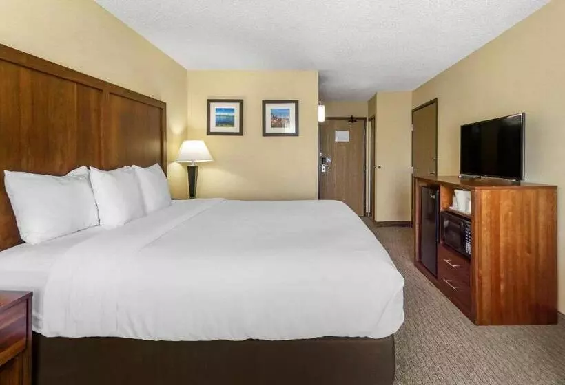 キングサイズベッドのスタンダードルーム, Comfort Inn & Suites Bothell Seattle North
